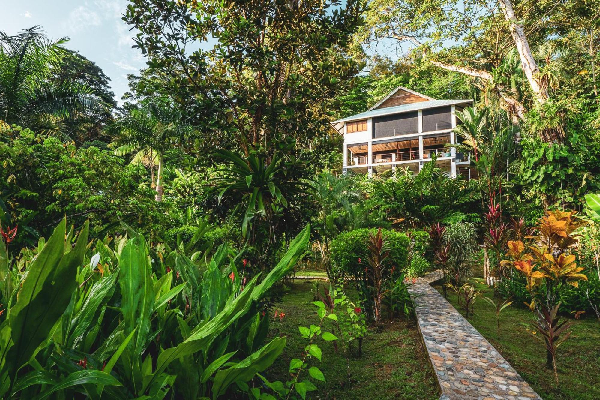 Roam Yoga & Wellness Lodge Бокас Екстер'єр фото