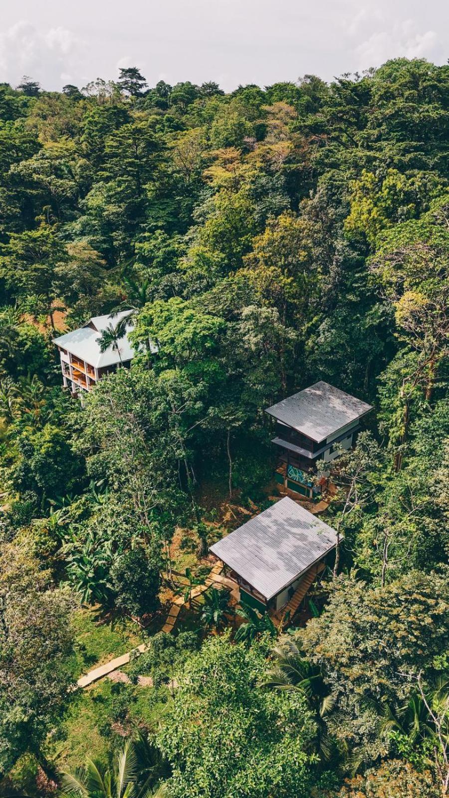 Roam Yoga & Wellness Lodge Бокас Екстер'єр фото